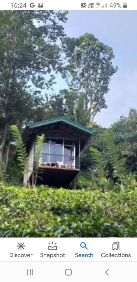 Tea Villas Ella Exterior foto